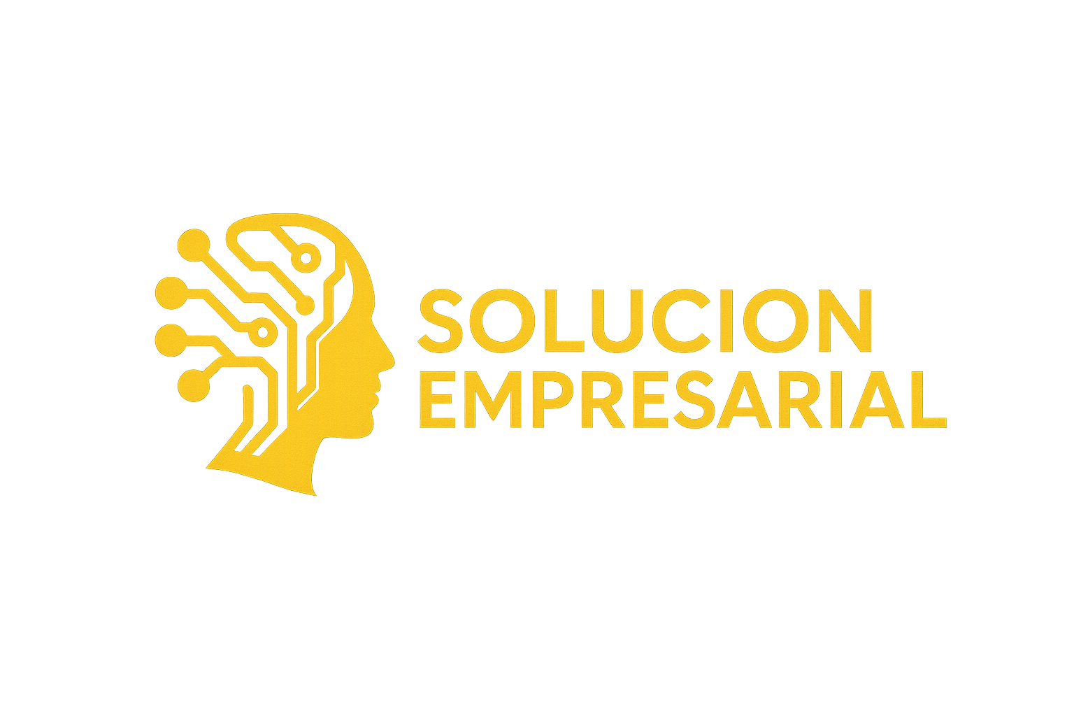 Solución Empresarial